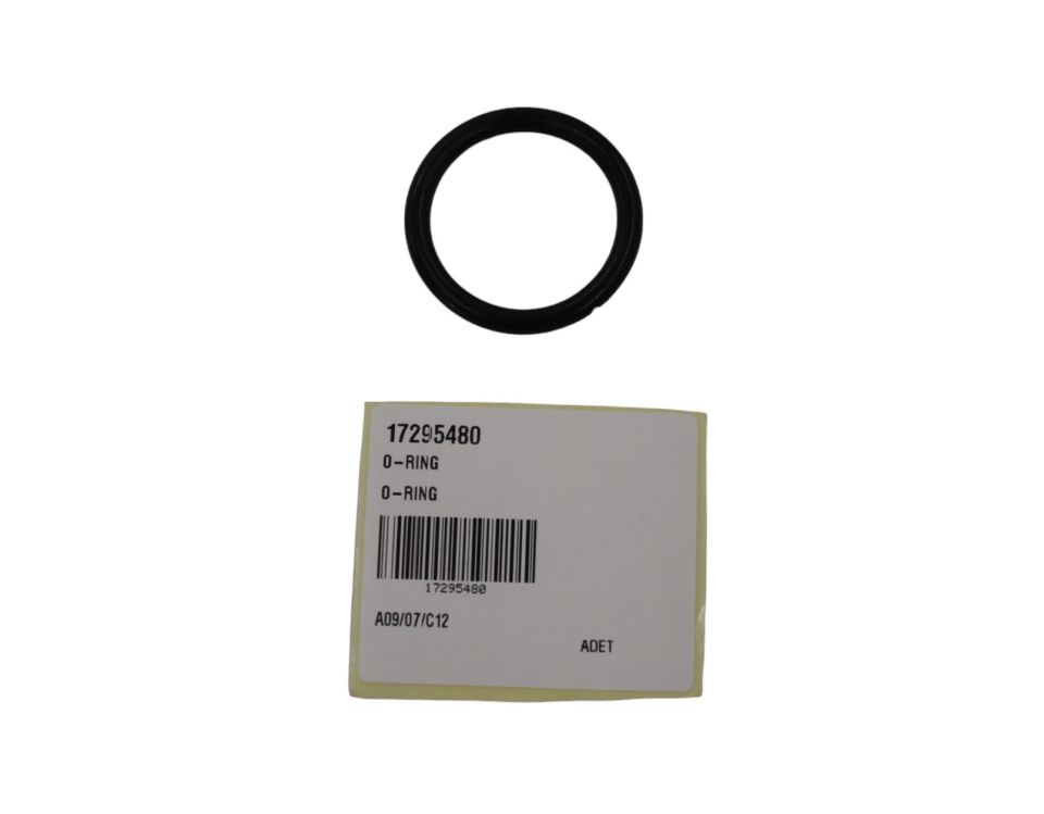17295480 O-RING Tray by Temsa