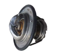 TERMOSTAT 529270800